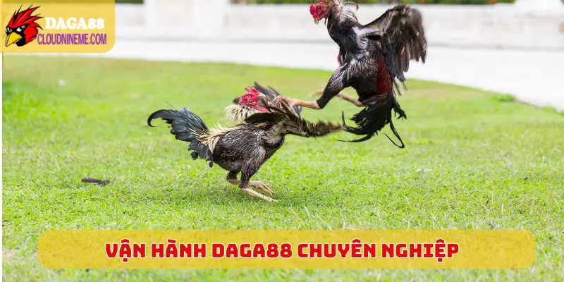 Daga88 6 Vận hành Daga88 chuyên nghiệp, quy trình cực chuẩn